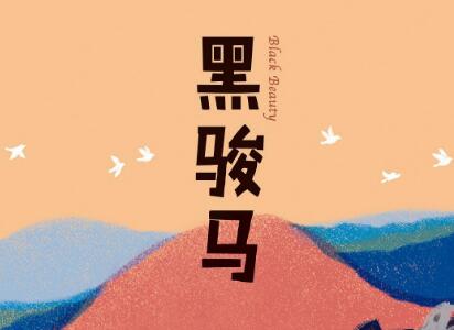 《黑骏马》读后感500字