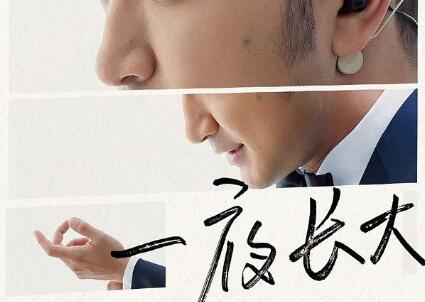 《一夜长大》读后感1000字