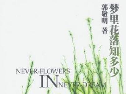 《梦里花落知多少》读后感300字