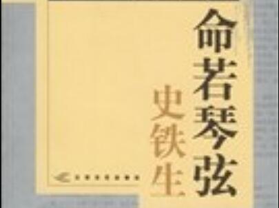《命若琴弦》读后感400字