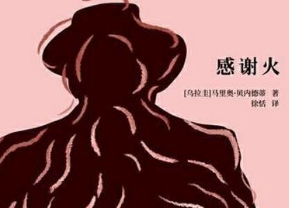 《感谢火》读后感1000字