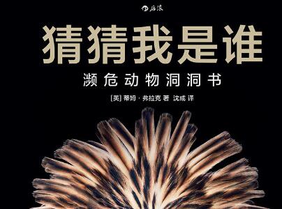 《猜猜我是谁》读后感1000字