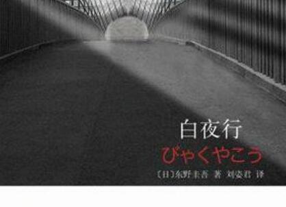 《白夜行》读后感500字