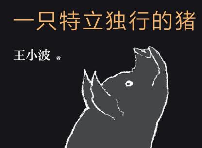 《一只特立独行的猪》读后感300字