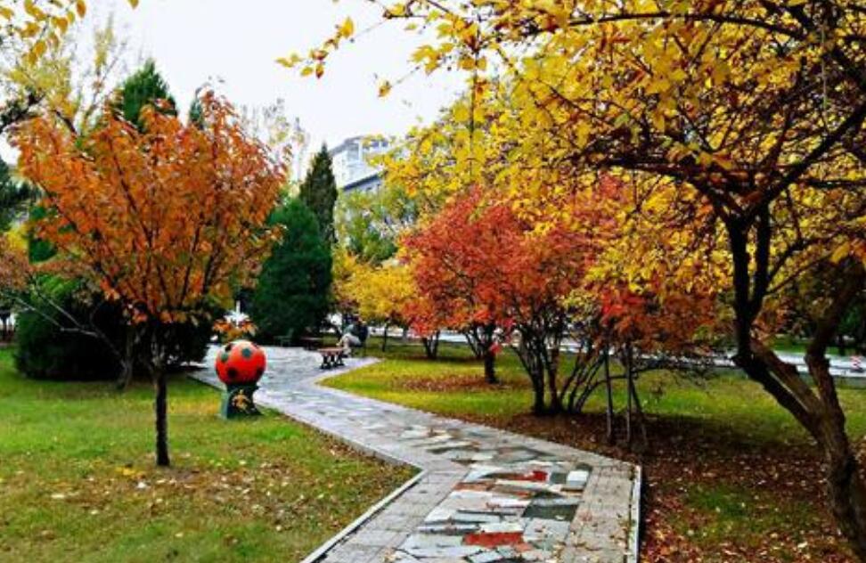 校园秋色.jpg 校园秋色.jpg