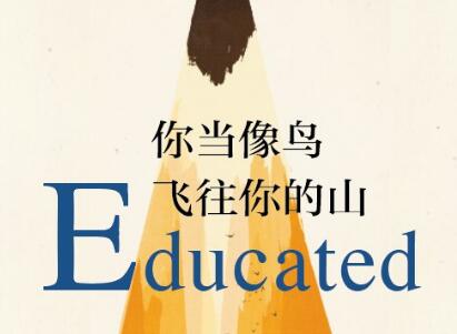 《你当像鸟飞往你的山》读后感300字