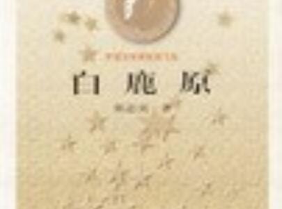 《白鹿原》读后感1500字