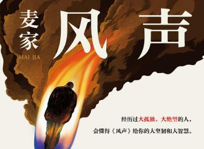 《风声》读后感600字