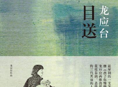 《目送》读后感600字