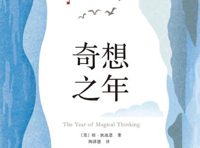 《奇想之年》读后感1000字