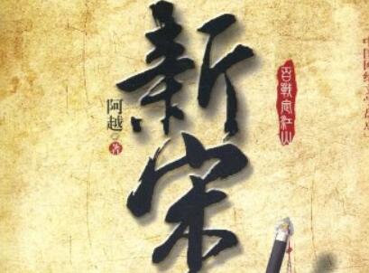 《新宋》读后感300字