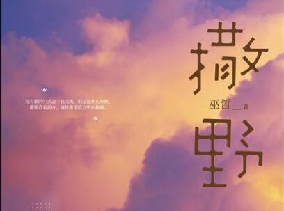 《撒野》读后感300字