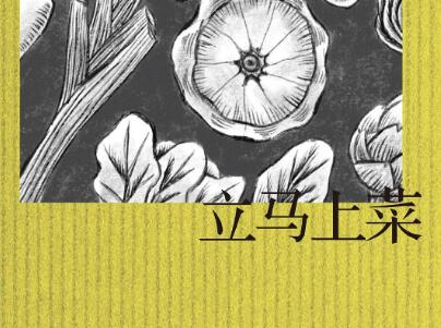 《立马上菜》读后感1000字