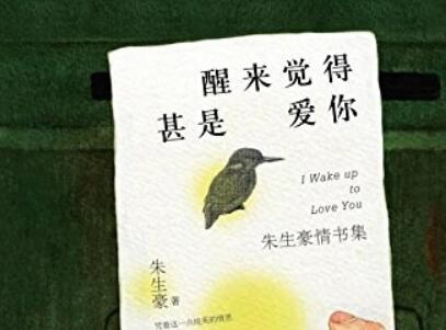 《醒来觉得甚是爱你》读后感600字