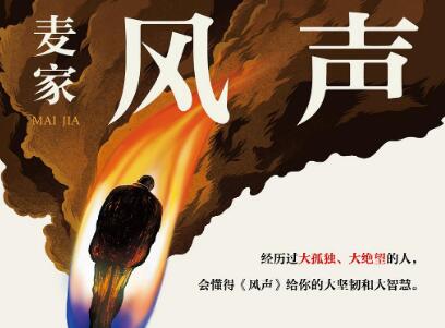 《风声》读后感400字