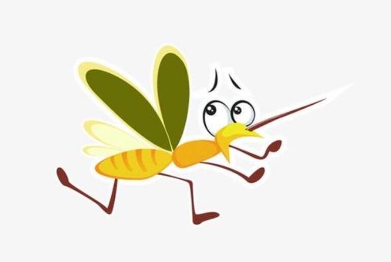 捉蚊趣事作文800字左右