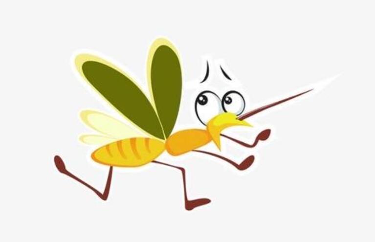 捉蚊趣事作文450字四年级