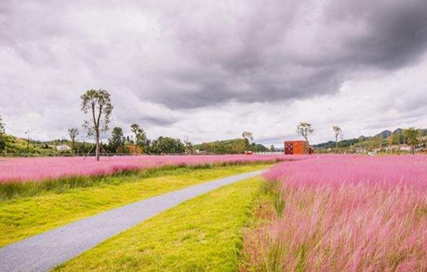 你的美照亮我的心作文600字