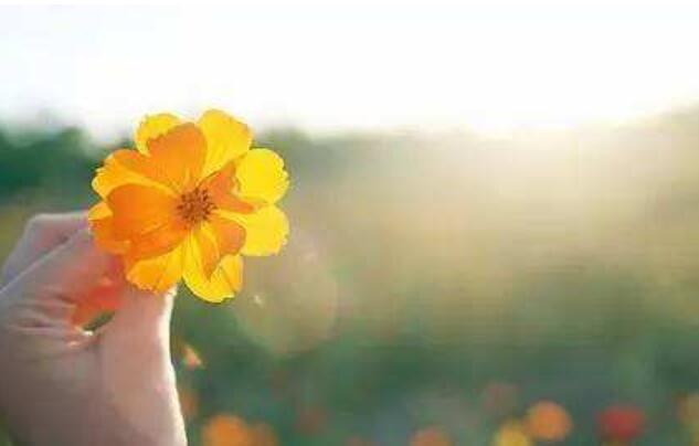 奉献也是一种美作文600字