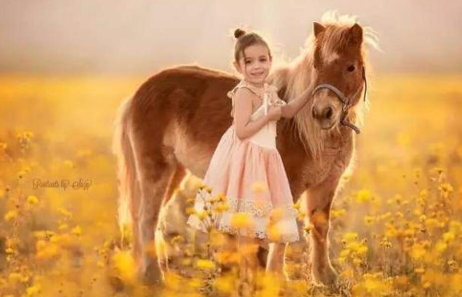 生活中的暖作文800字