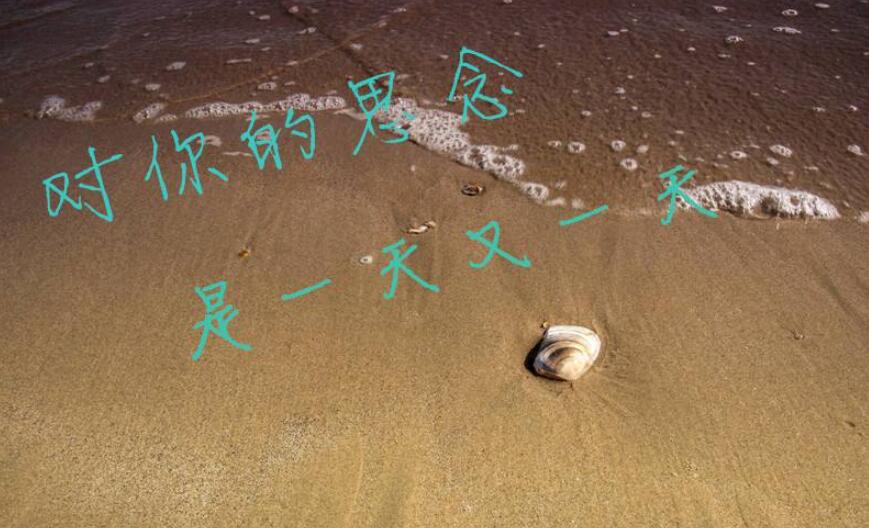 从来没有这样思念作文800字