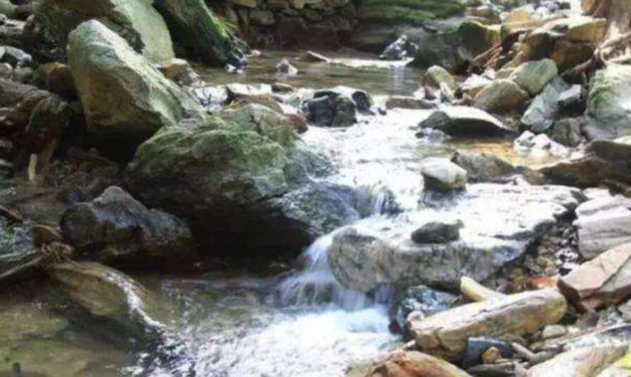 我们一起来作文600字初二