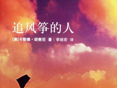 《追风筝的人》读后感300字