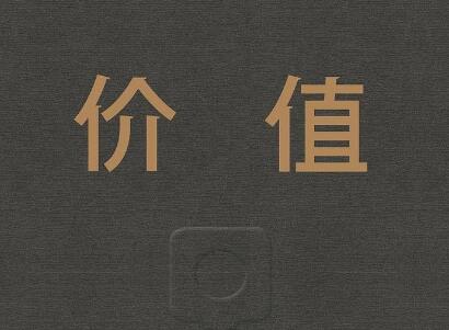 《价值》读后感500字