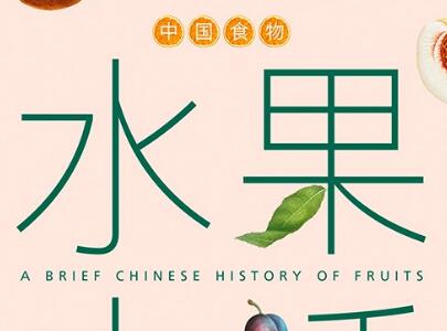 《中国食物》读后感600字