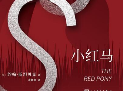 《小红马》读后感2000字
