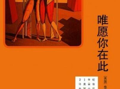 《唯愿你在此》读后感1000字