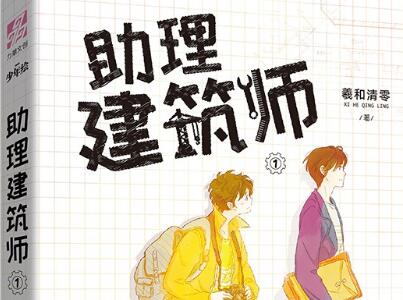 《助理建筑师》读后感400字