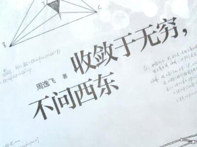 《收敛于无穷，不问西东》读后感1000字