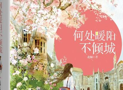 《何处暖阳不倾城》读后感300字