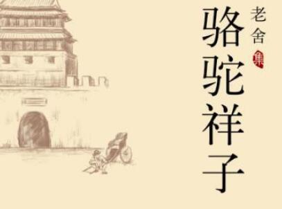 《骆驼祥子》读后感400字