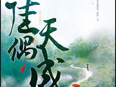 《佳偶天成》读后感1000字