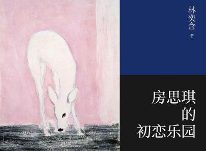 《房思琪的初恋乐园》读后感300字