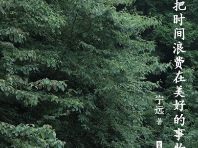 《把时间浪费在美好的事物上》读后感1500字