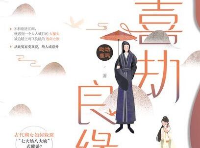 《喜劫良缘》读后感1000字