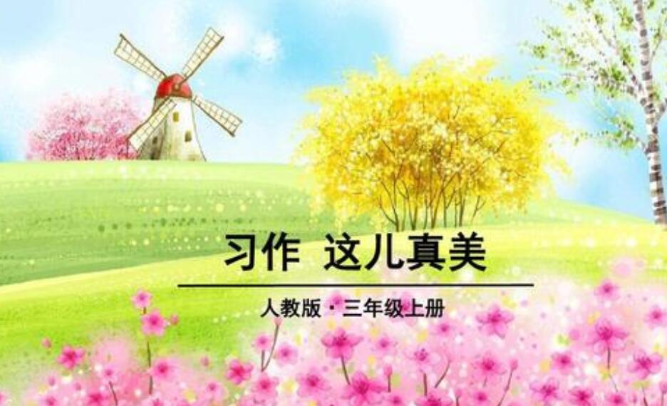 这儿真美作文600字三年级