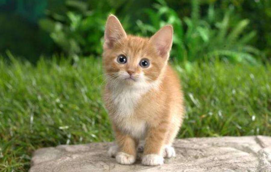 优秀日记250字3篇