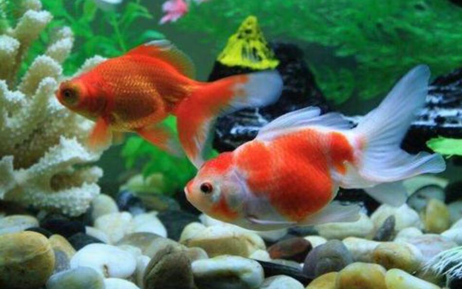 优秀日记作文200字3篇