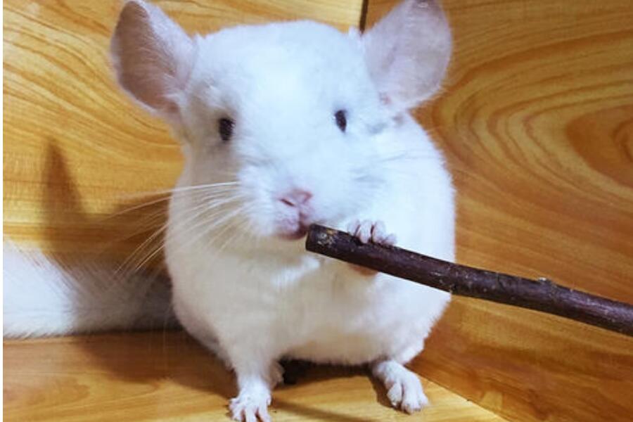 生活万花筒作文350字