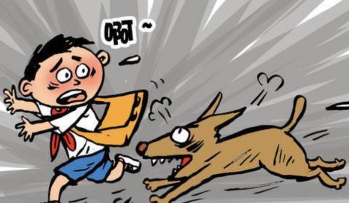 生活万花筒作文300字三年级