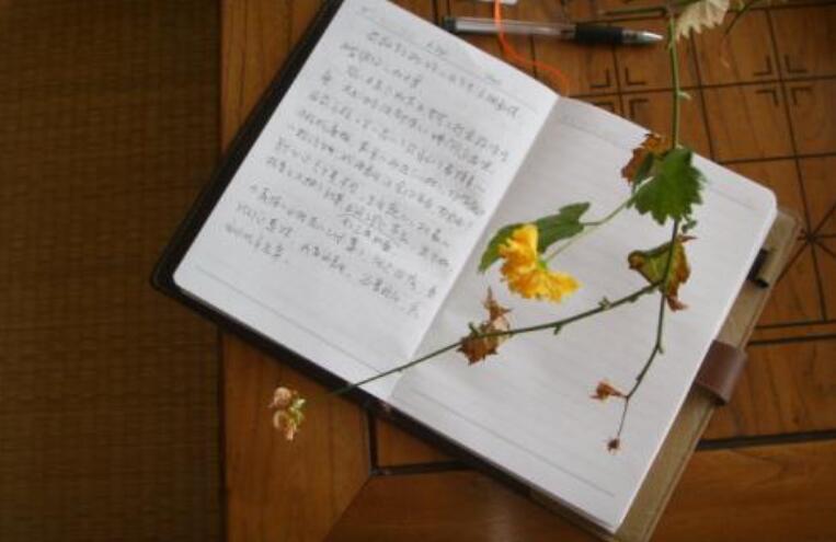 写一篇日记300字3篇