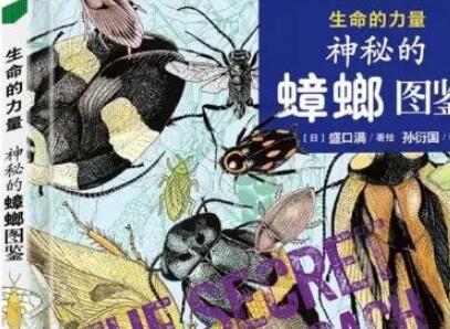 《生命的力量》读后感800字