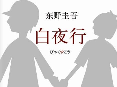 《白夜行》读后感300字