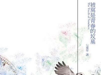 《被窝是青春的坟墓》读后感400字