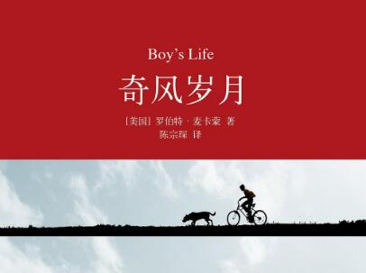 《奇风岁月》读后感500字