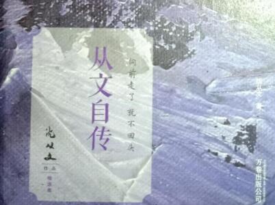 《从文自传》读后感400字